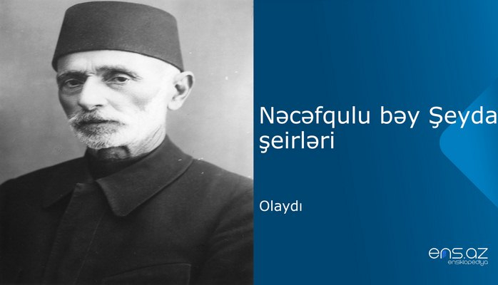 Nəcəfqulu bəy Şeyda - Olaydı