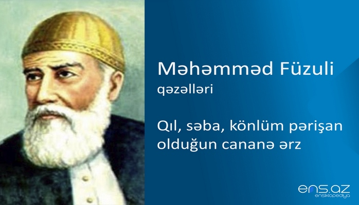 Məhəmməd Füzuli - Qıl, səba, könlüm pərişan olduğun cananə ərz