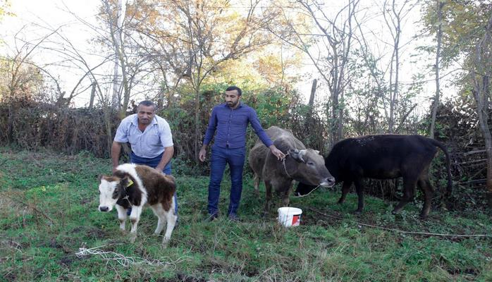 Nazirlik daha 160 ailəyə yardım etdi