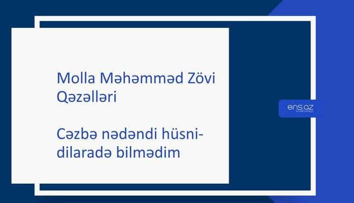 Molla Məhəmməd Zövi - Cəzbə nədəndi hüsni-dilaradə bilmədim