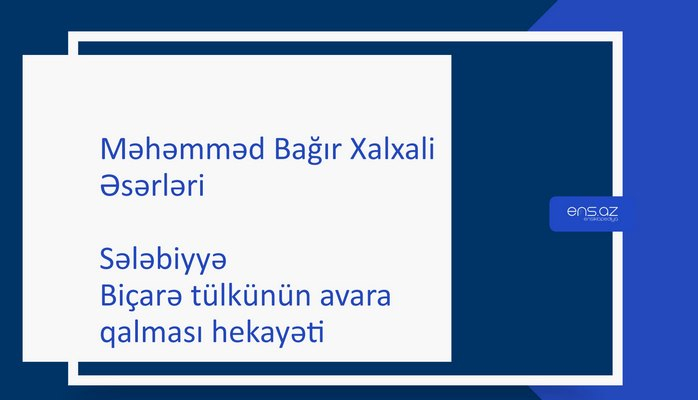 Məhəmməd Bağır Xalxali - Sələbiyyə/Biçarə tülkünün avara qalması hekayəti