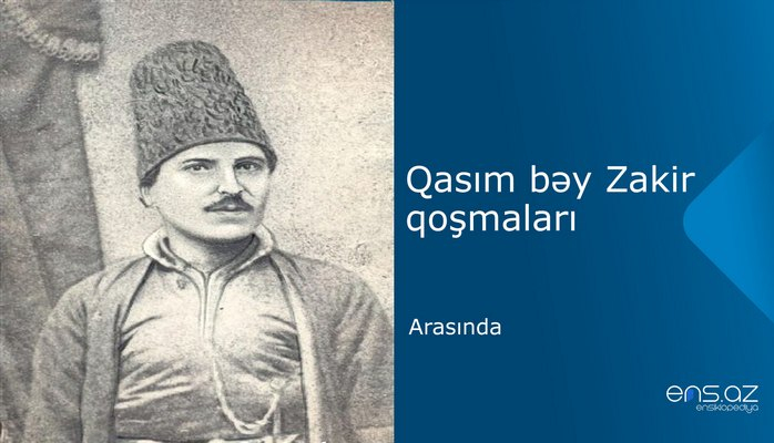 Qasım bəy Zakir - Arasında