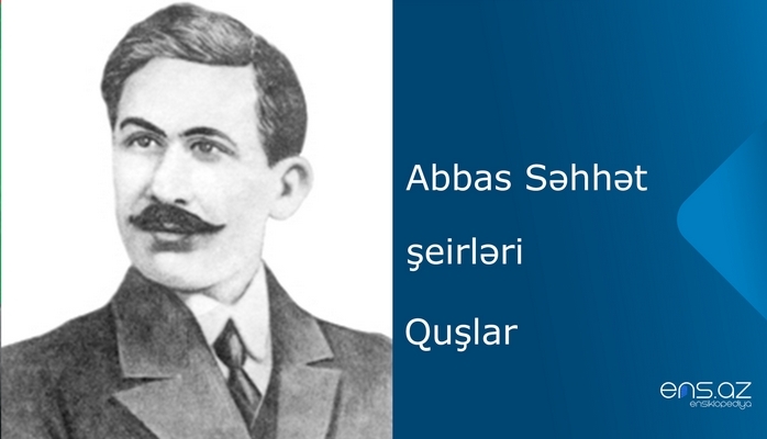 Abbas Səhhət - Quşlar