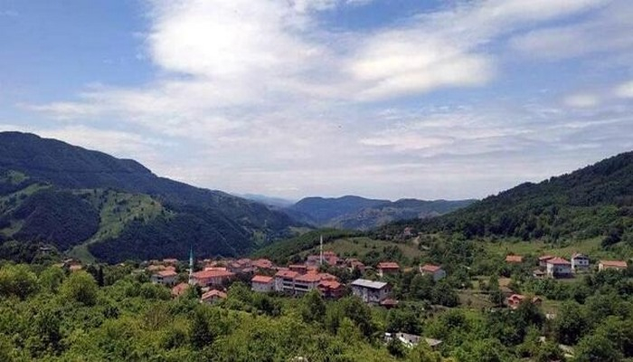 İstanbul'dan Zonguldak'a gitti, annesine koronavirüs bulaştırdı