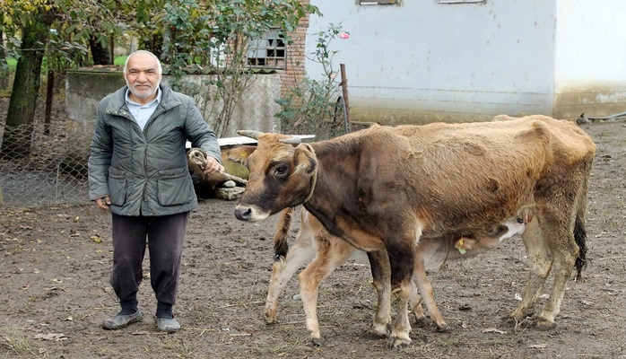 Bu rayonlarda daha 30 aztəminatlı ailə kiçik təsərrüfatlarını qurmaq üçün mal və materiallarla təmin olundu