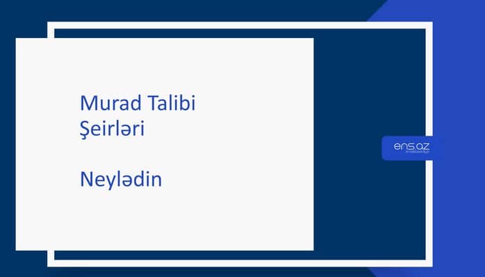 Murad Talibi - Neylədin