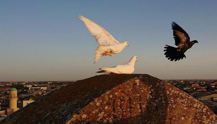 National Geographic: удивительное фото-путешествие в Азербайджан