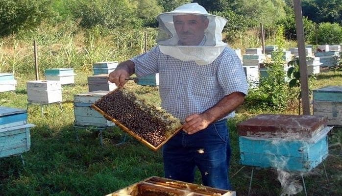 Nazir: Arıçılara subsidiyaların verilməsi başa çatır