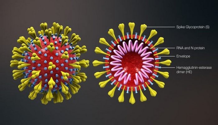 Azərbaycanda koronavirus barədə ayrıca məlumat bazası yaradılır