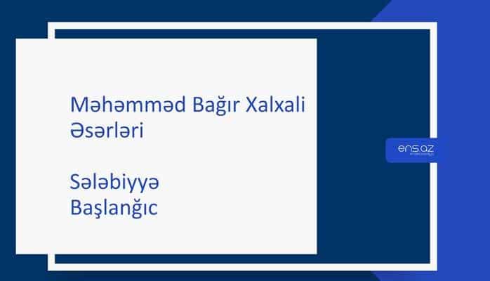 Məhəmməd Bağır Xalxali - Sələbiyyə/Başlanğıc