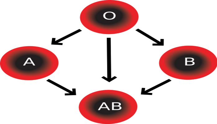 Учёные: Группа крови пациента влияет на риск развития тромбоза