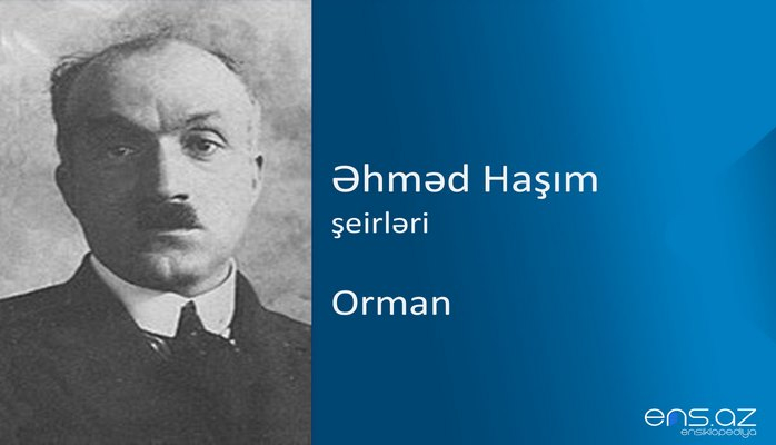 Əhməd Haşım - Orman