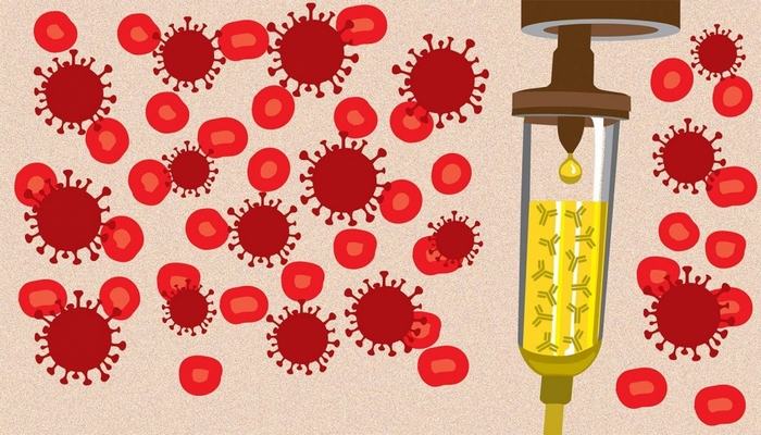 Koronavirus xəstələrinə kimlər plazma donoru ola bilər?