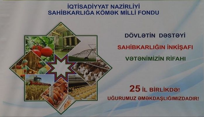 Sahibkarlığa Kömək Milli Fondu ləğv olunduğunu elan etdi