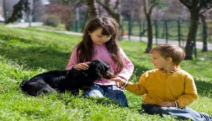 Zoologiya İnstitutu: Azərbaycanda sahibsiz it və pişiklərdə aşkar edilmiş qurdların 29 növü insan və heyvanlara keçir