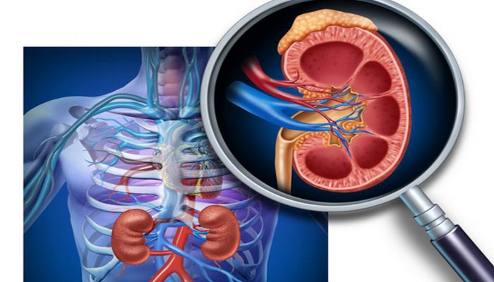 Böyrək xəstəliklərinə işarə edən əsas 7 simptom