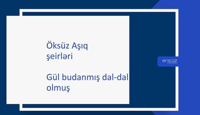 Öksüz Aşıq - Gül budanmış dal-dal olmuş