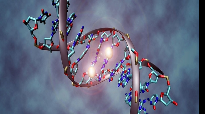 Gen tənzimləməsinin yeni fundamental yolu aşkar edilib
