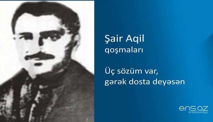 Şair Aqil - Üç sözüm var, gərək dosta deyəsən