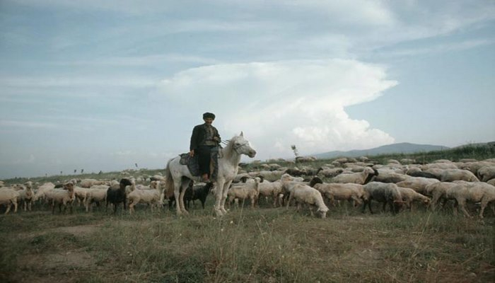 Губа, Абшерон, Сумгаит в 1967 г. глазами шведского фотографа Г.Одднера (ФОТО)