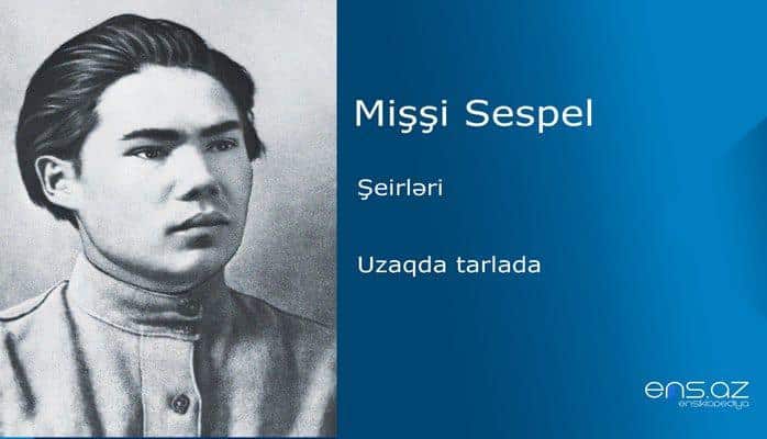 Mişşi Sespel - Uzaqda tarlada