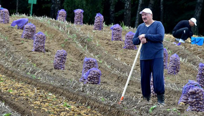 Lukaşenko: “İslahatlar üçün bir trilyon dollar lazımdır”