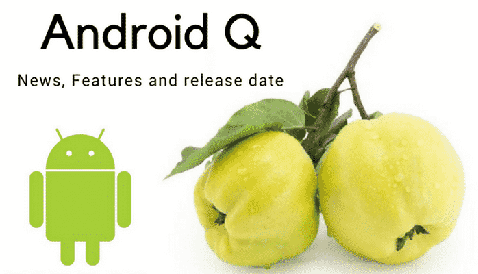 Android 10 Q ƏS-nin ilk versiyası may ayında çıxacaq