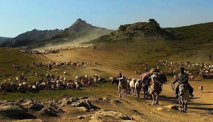 Zəhərlə öldürülən qadınlar: Fərqli qurban adətləri