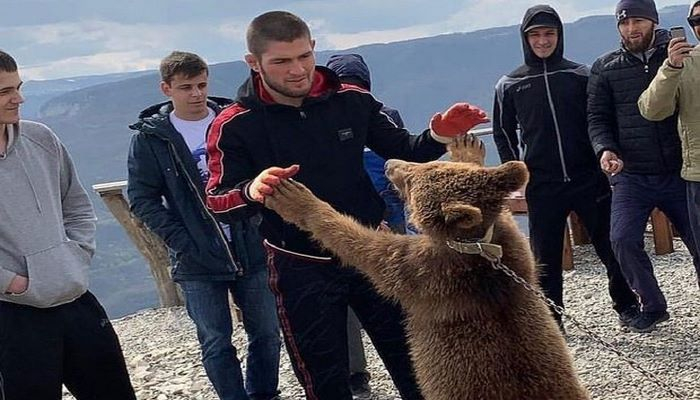 За Нурмагомедова взялись защитники животных