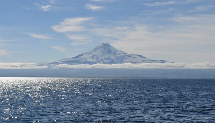 Беринговом море сейчас должно быть замерзшим