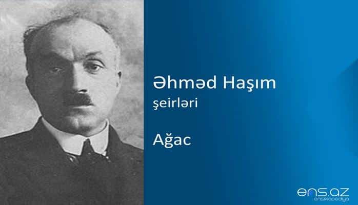 Əhməd Haşım - Ağac