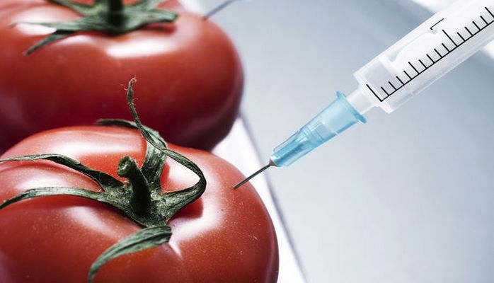 Genefondumuzu qorumaq üçün GMO ilə bağlı qanuna ehtiyac var