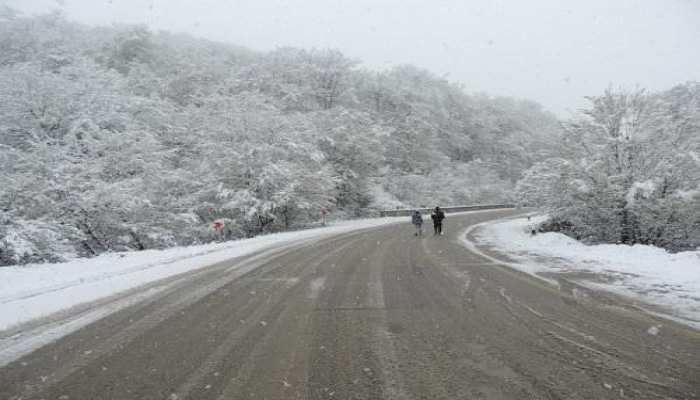 Gürcüstanla Rusiyanı birləşdirən yeganə yol bağlandı