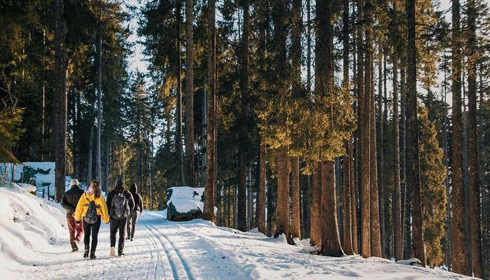 Ученые нашли связь между физической активностью и памятью