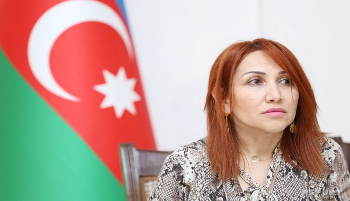 İradə İbrahimova: "Milli Meşə Proqramının ilkin layihəsi hazırdır"