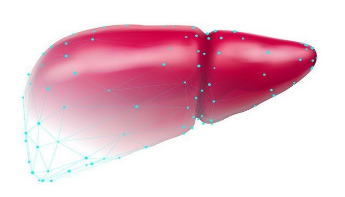 Доктор, напечатайте мне печень! Как учёные создают «запчасти» для человека