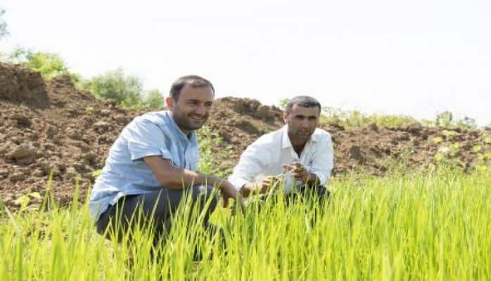 Lənkəranlı fermer becərdiyi yerli “Həşimi” düyüsünü xarici bazarlara çıxarır