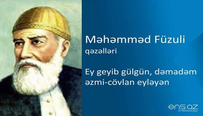 Məhəmməd Füzuli - Ey geyib gülgün, dəmadəm əzmi-cövlan eyləyən