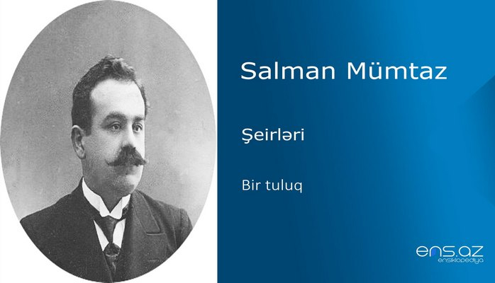 Salman Mümtaz - Bir tuluq