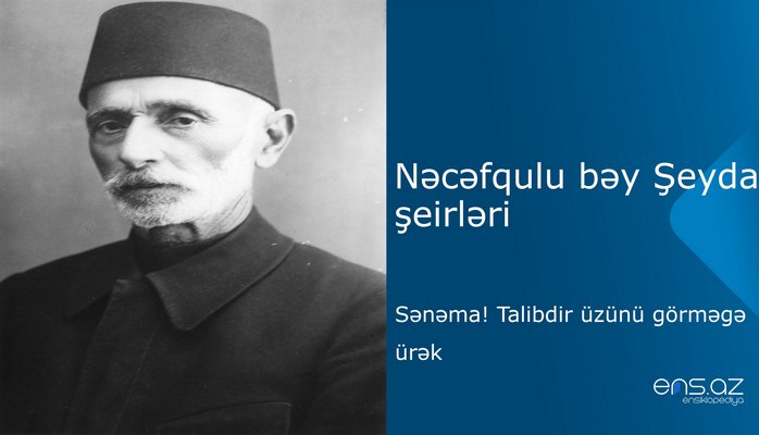 Nəcəfqulu bəy Şeyda - Sənəma! Talibdir üzünü görməgə ürək