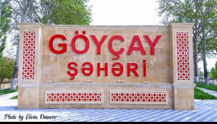 Göyçayda çinar ağacları susuzluqdan quruyur