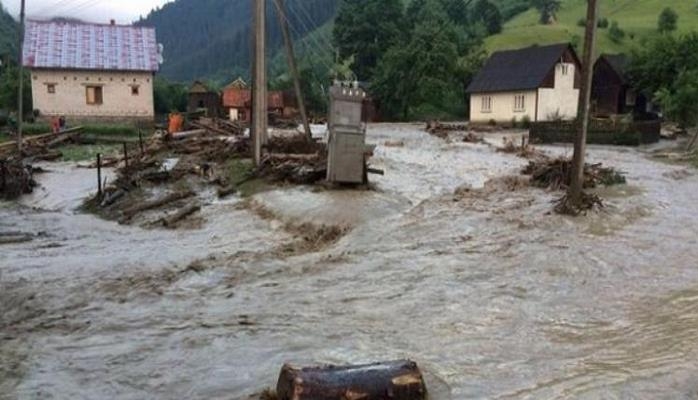 Fındıq bağları suyun altında qalıb - məhsul yığmaq olmur