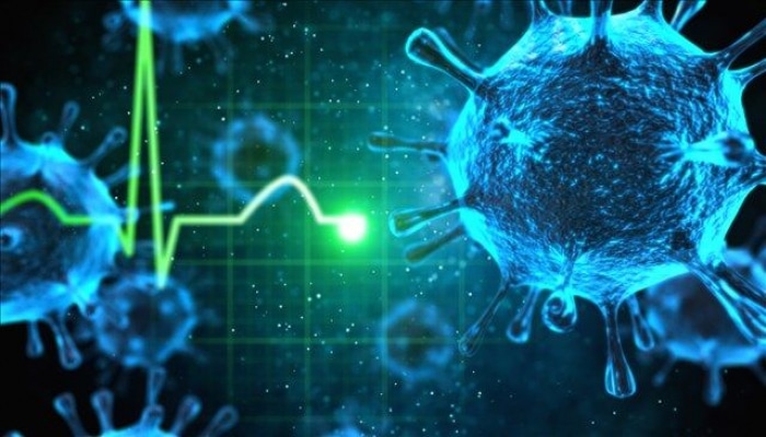 Çində yeni virus yayıldı: ölən var - Hantavirus