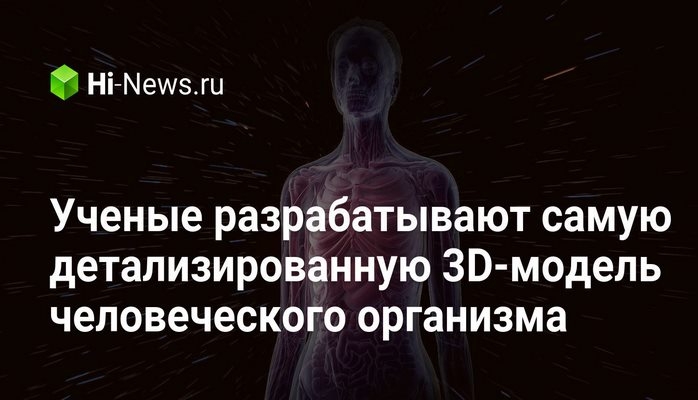 Ученые разрабатывают самую детализированную 3D-модель человеческого организма