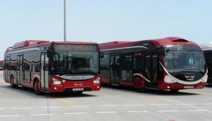 Bakıda festival üçün xüsusi avtobuslar ayrılır