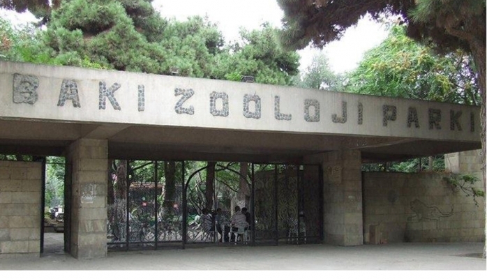 Bakı zooparkına yeni heyvanlar gətirildi