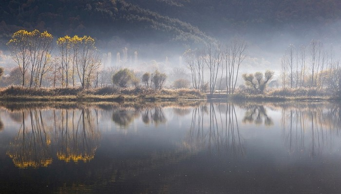 En iyi orman fotoğrafı Manisalı öğretmenin objektifinden