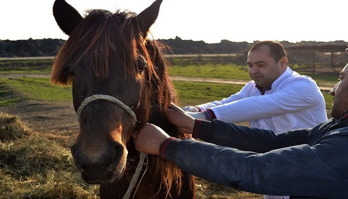 Siyəzəndə heyvanlar arasında iti yoluxucu xəstəliklərə qarşı profilaktik tədbirlər aparılır