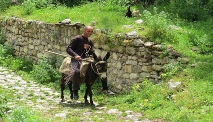 Azərbaycan torpağında 1 hektar otlağı təmizləyən erməniyə 100 manat verilir...