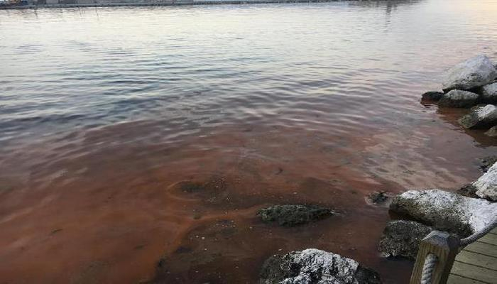 Silivri'de deniz turuncu renge büründü